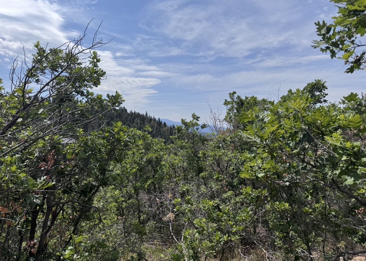 Main image 5
