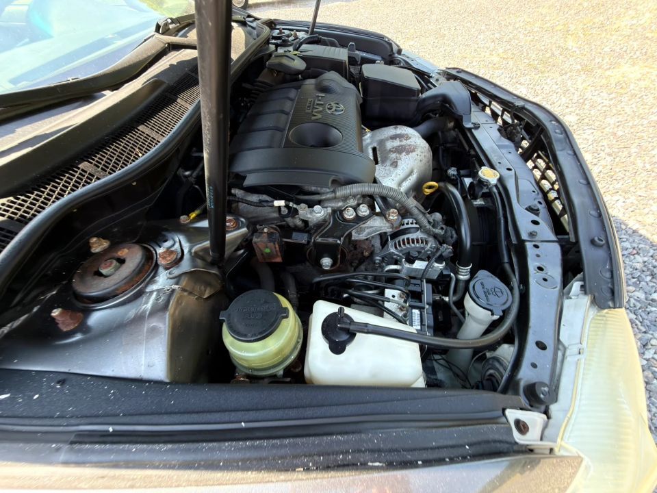 Main image 5