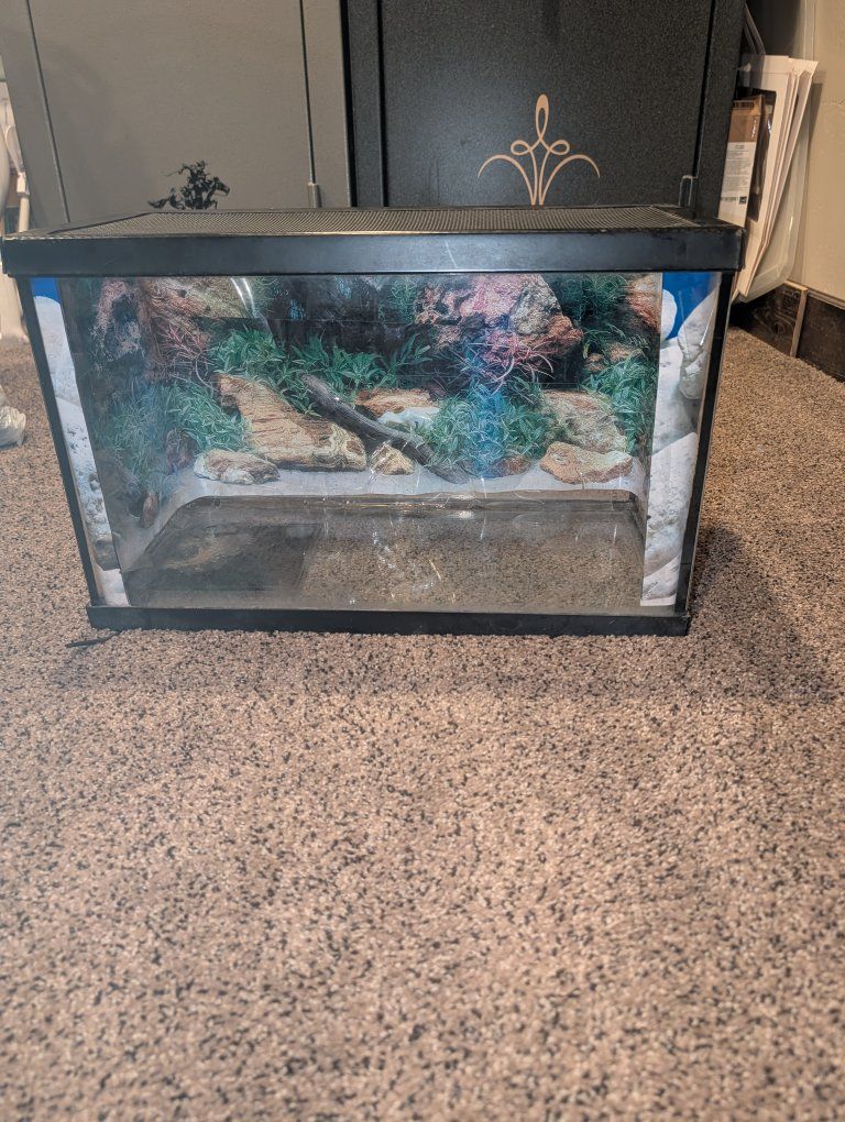 Used Glass Terrarium Reptile Habitat Tank with Lid