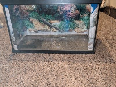 Used Glass Terrarium Reptile Habitat Tank with Lid