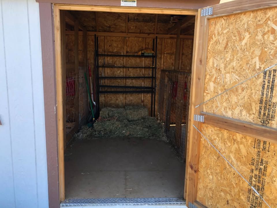 Main image 6