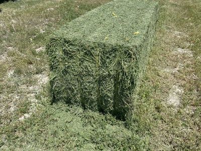 Fresh 3-Way Hay - Good Quality, Cut Today in Huntsville