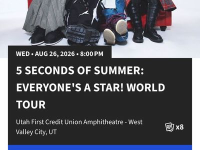 5 Seconds of Summer Lawn Ticket