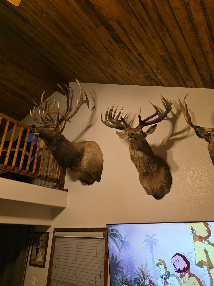 Mounts