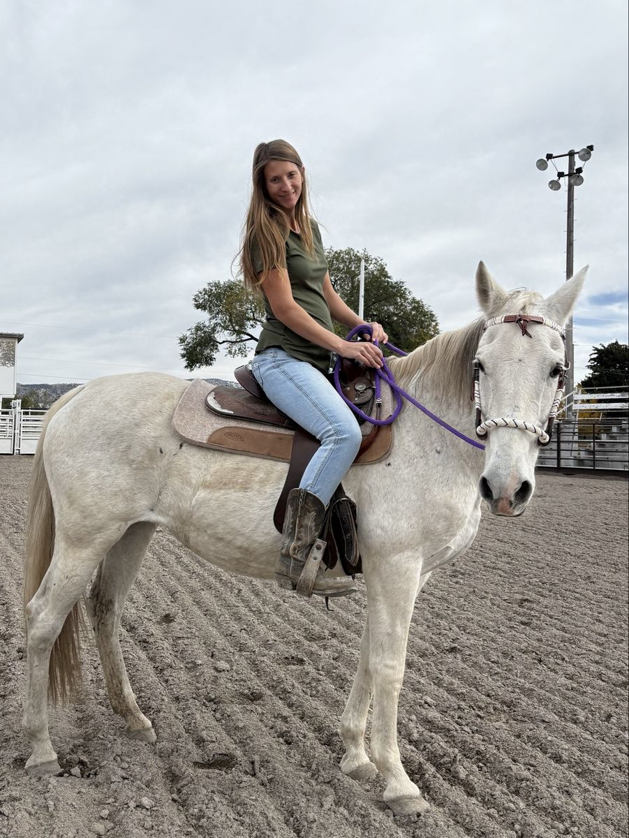 Quarter horse