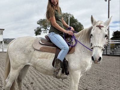Quarter horse