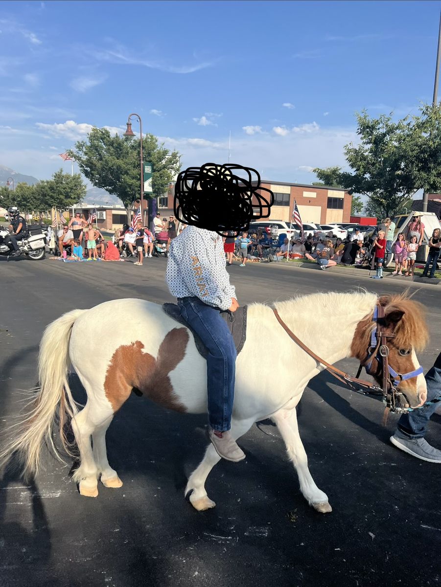 Great kids pony