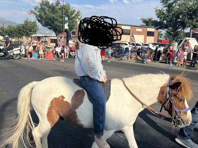 Great kids pony