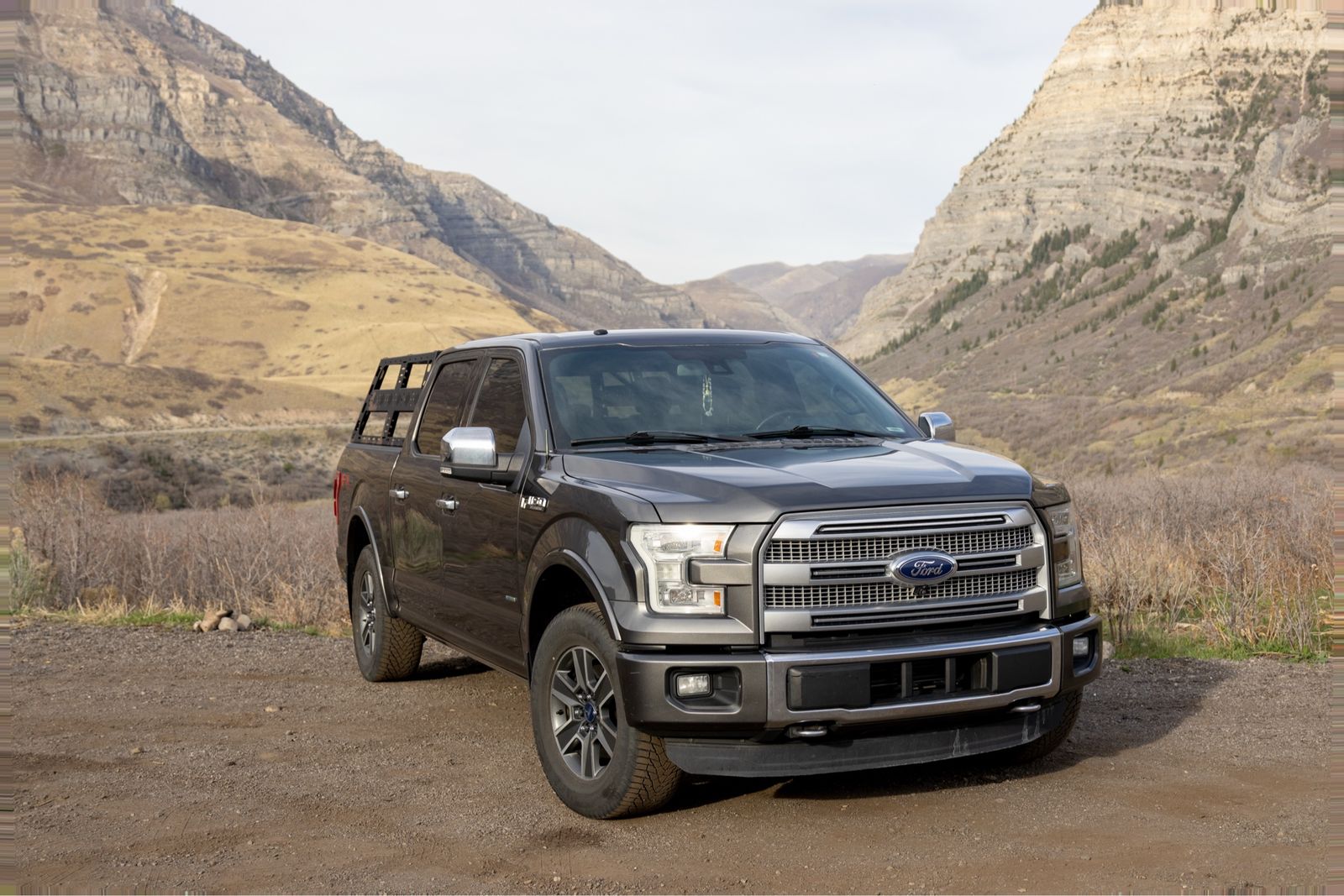 2015 Ford F-150 Platinum