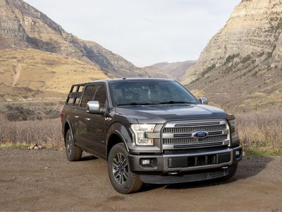 2015 Ford F-150 Platinum