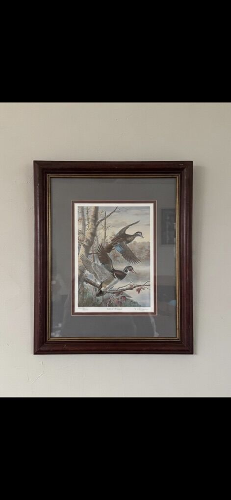 Framed “Lakeside Woodducks” Signed & Numbered