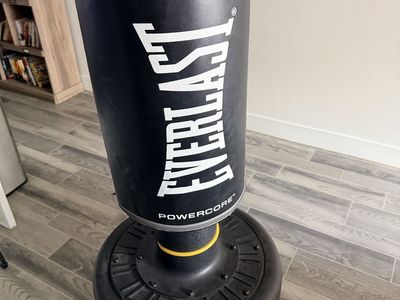 Everlast Powercore Punching Bag