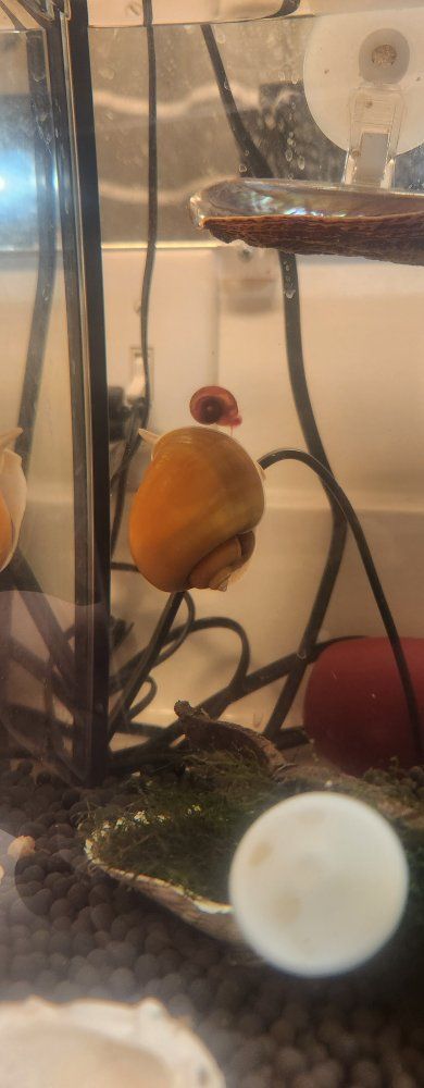 Main image 2