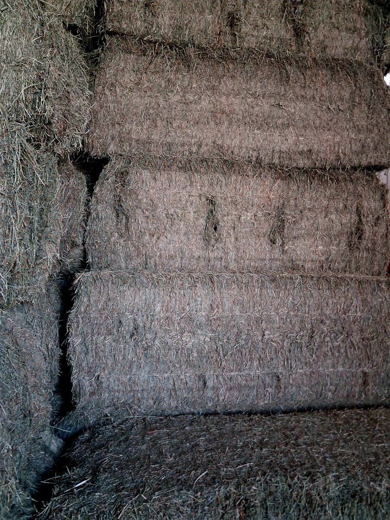 Main image 3
