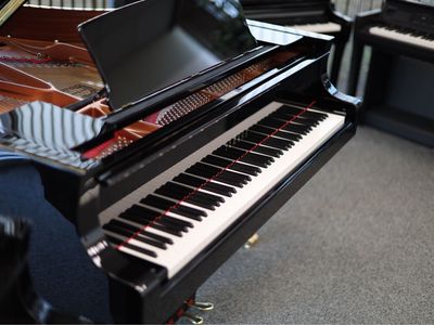 Yamaha C7X (2025) - Exceptional