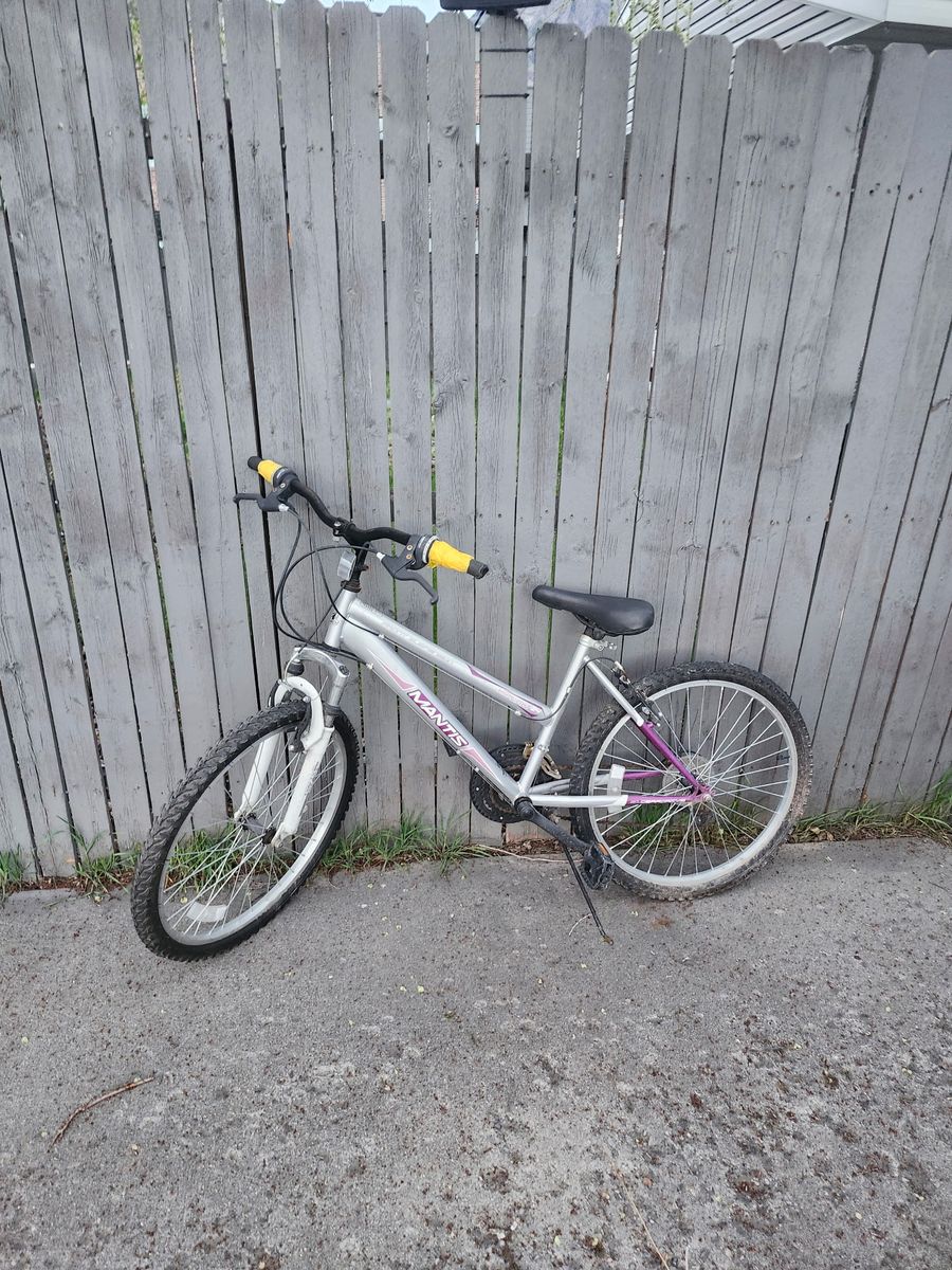 Two Bikes In Need Of Love