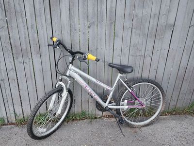 Two Bikes In Need Of Love