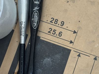 Louisville Slugger TRB18 Ash Training Baseball Bat - Black & Silver HO4 Bat