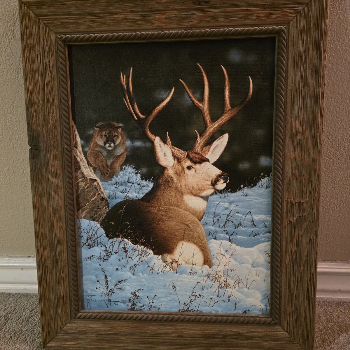 Deer and Cougar picture