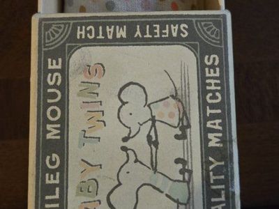 Maileg Baby Twins Mouse in Matchbox Toy Set