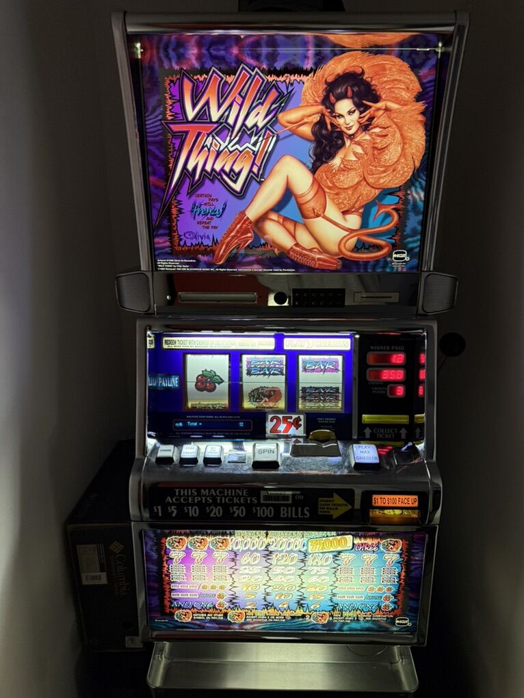 Rare IGT S2000 Wild Thing Slot Machine