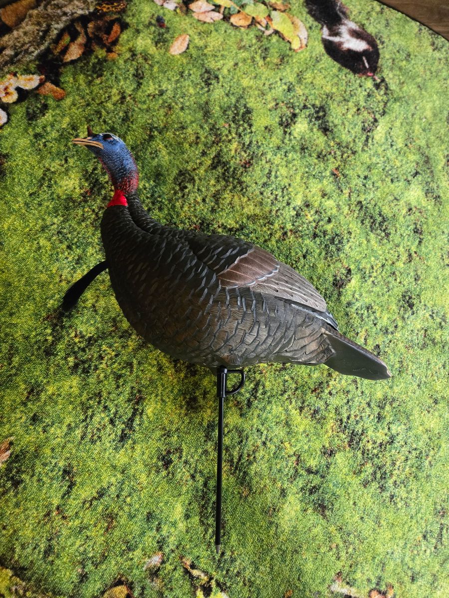 Brand new turkey hen decoy 