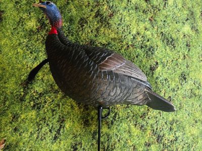 Brand new turkey hen decoy