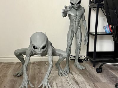 Large 3D-Printed Alien Sculpture – Custom Display Piece