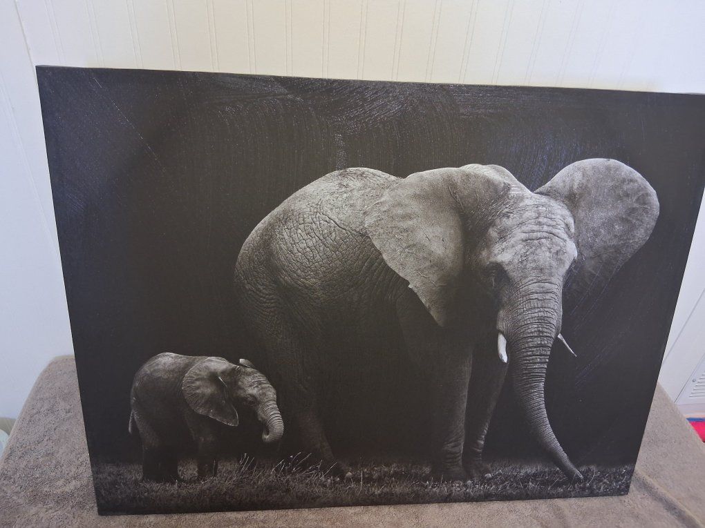 Elephant & Baby Canvas Wall Art Print - Black & White Animal Decor