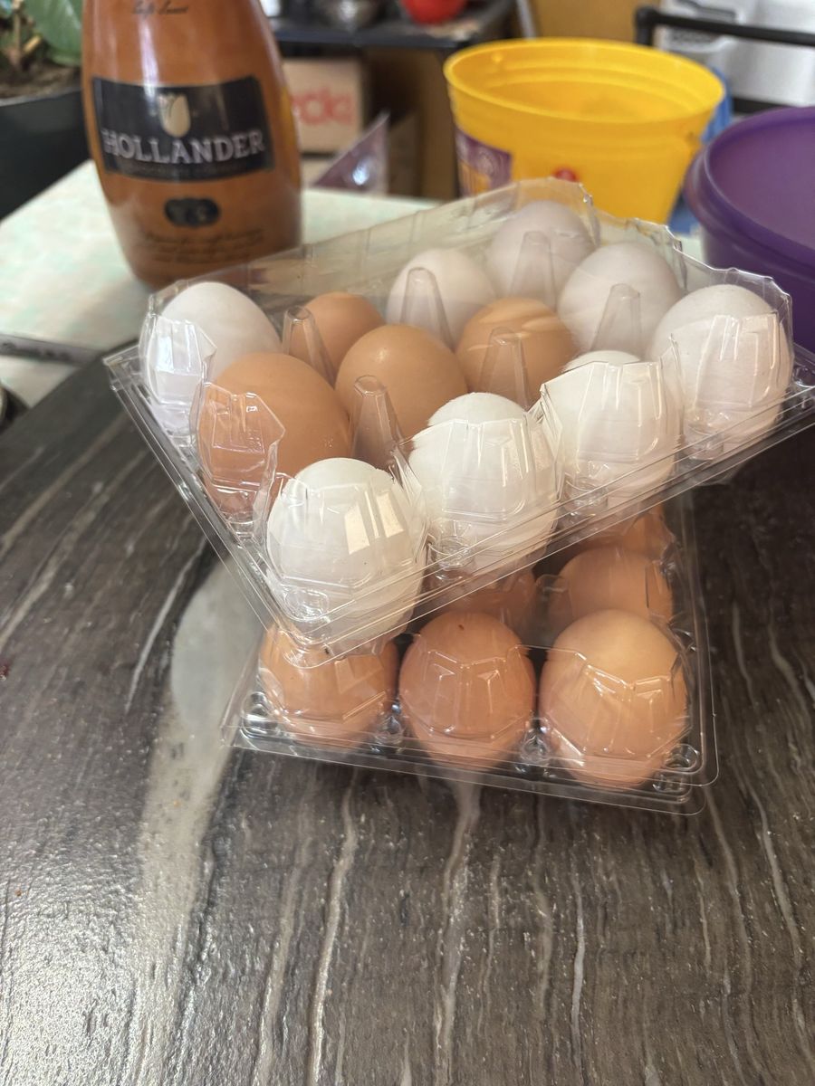 Fresh eggs