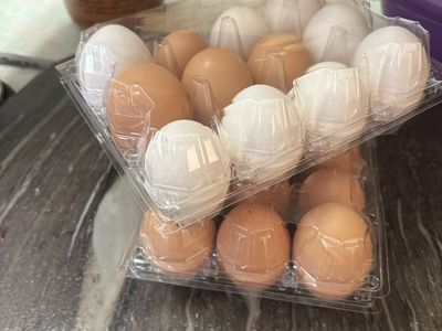 Fresh eggs