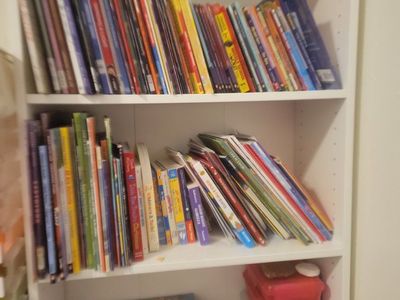 Assorted Children's Book Lot