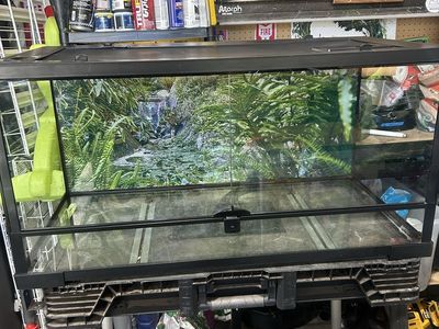 Thrive tank