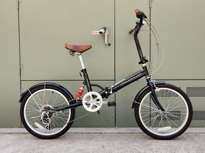 Flamber Folding Bike SB43-25