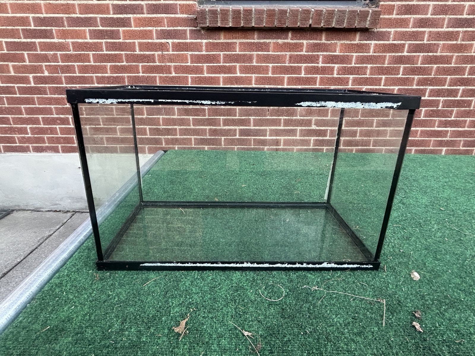 10 gallon aquarium/terrarium