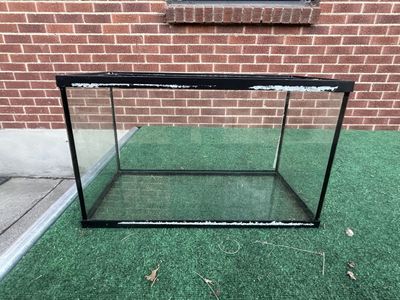 10 gallon aquarium/terrarium