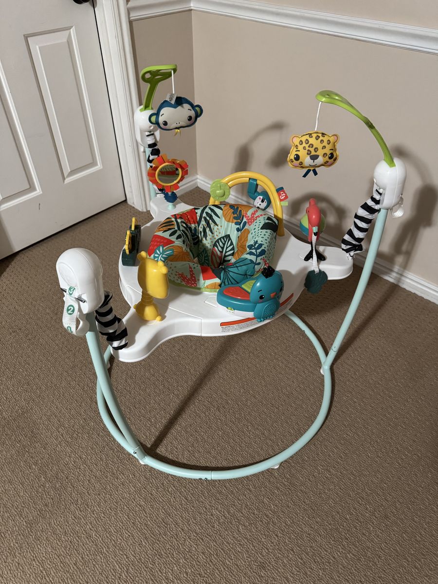 Fisherprice Baby Bouncer