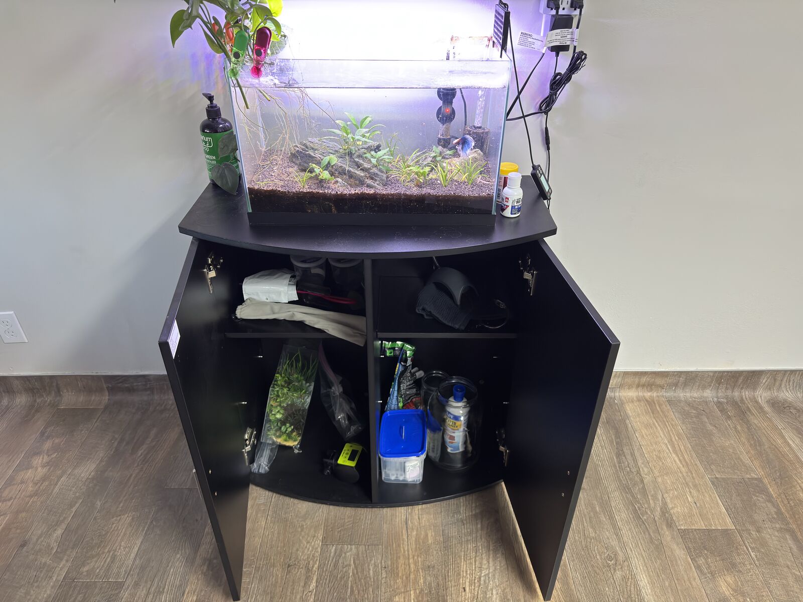20 Gallon Complete Freshwater Aquarium Setup