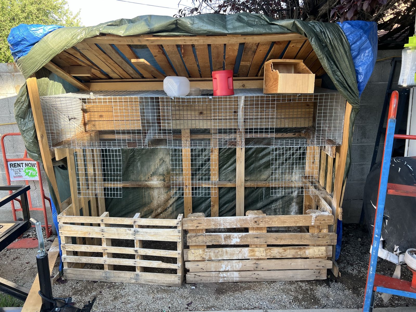 Rabbit cage