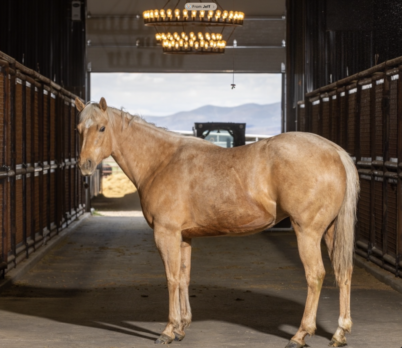 2019- (Whit) MS Blonde Bartender