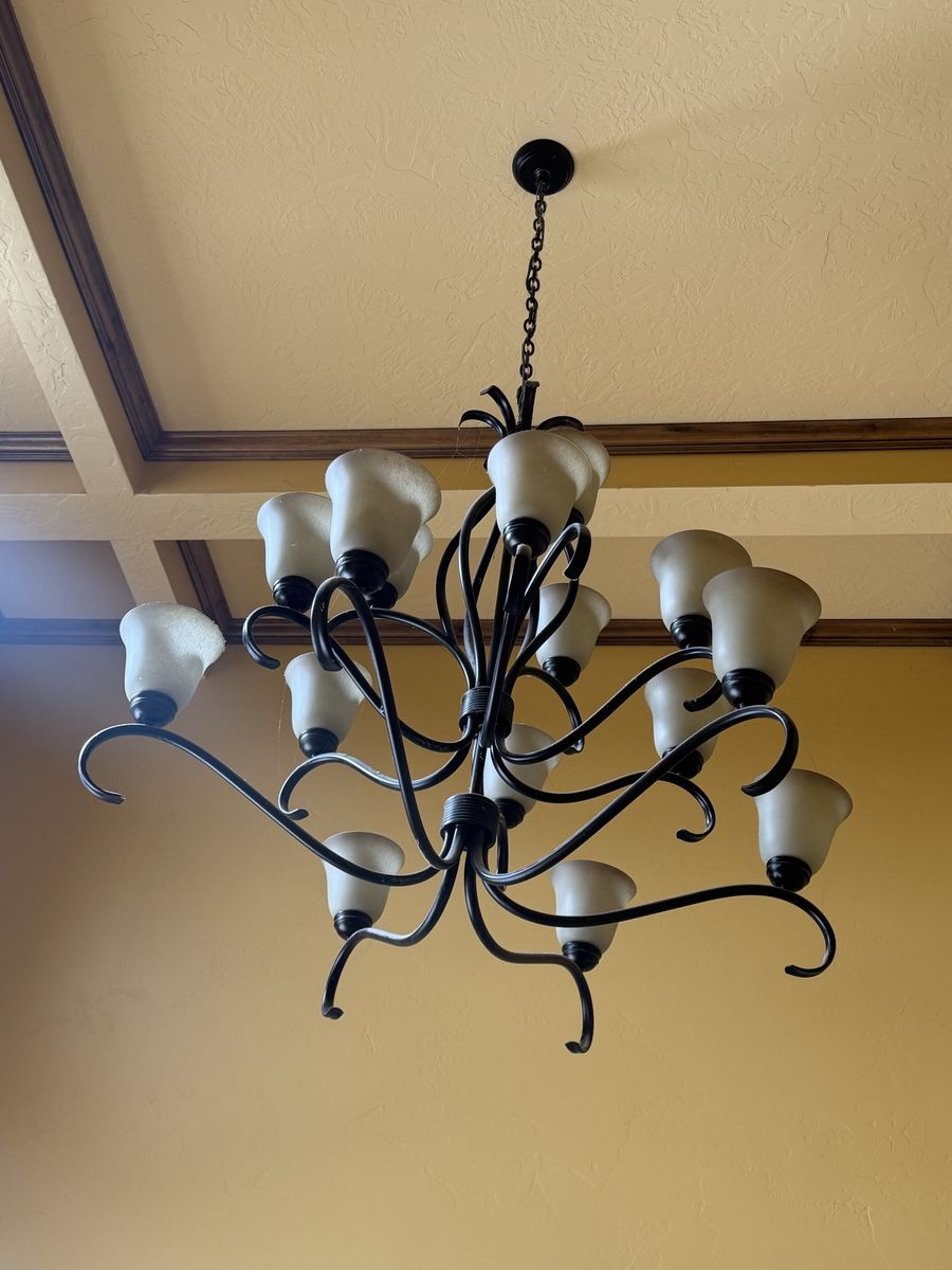 15 Light Chandelier