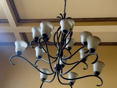 15 Light Chandelier