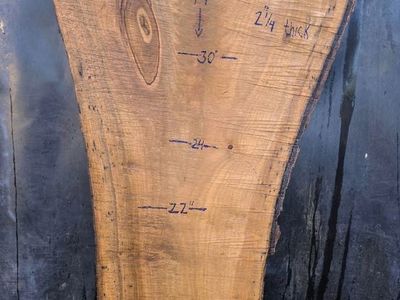 Fleshly cut English Walnut live edge wood slab