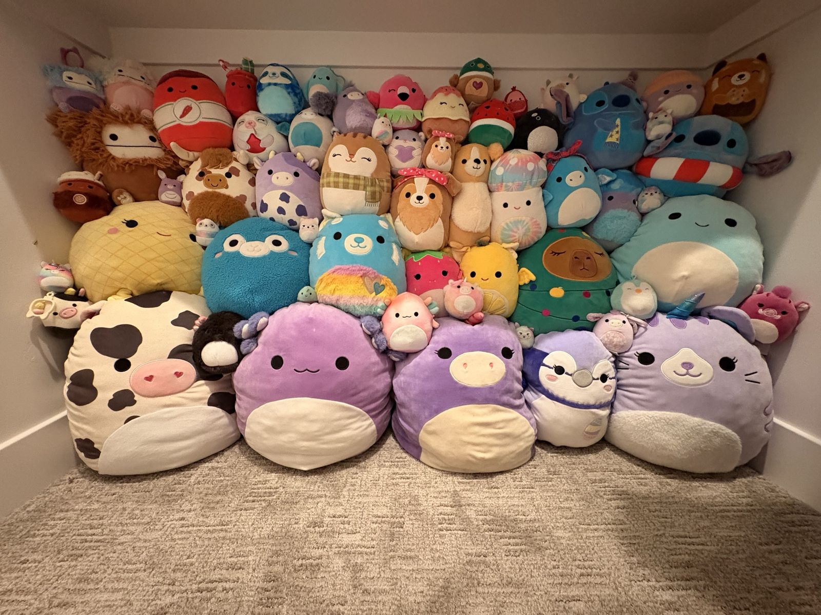 Extensive Squishmallow Collection