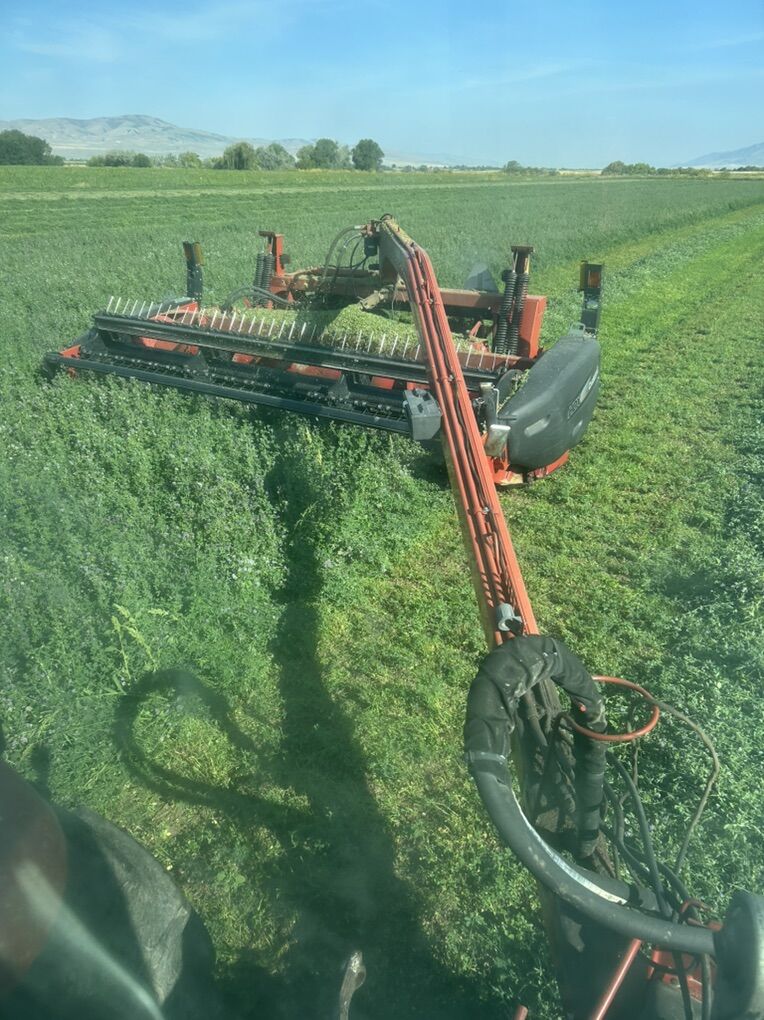 Case Swather
