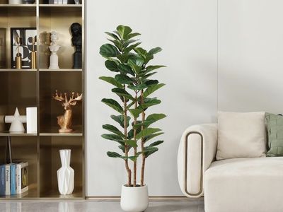 Fiddle Leaf / Fig faux tree