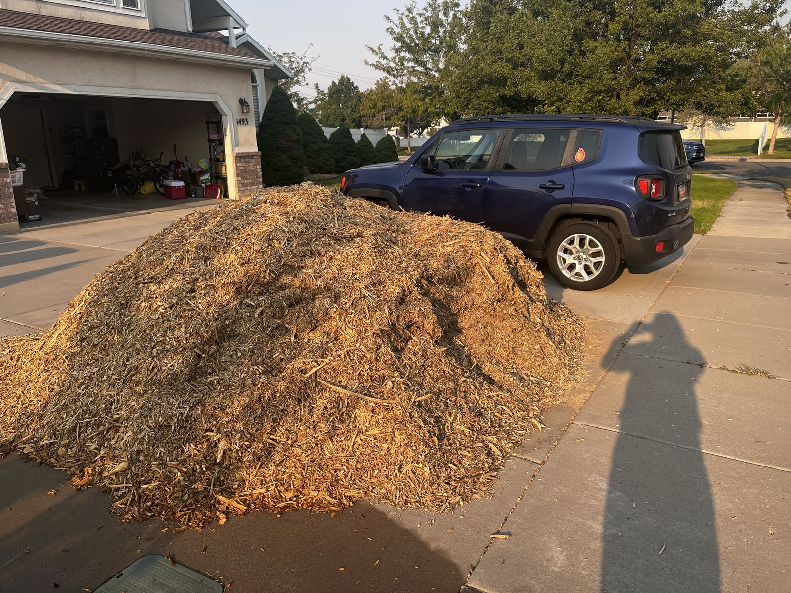 FREE WOOD CHIPS