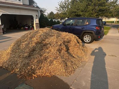 FREE WOOD CHIPS