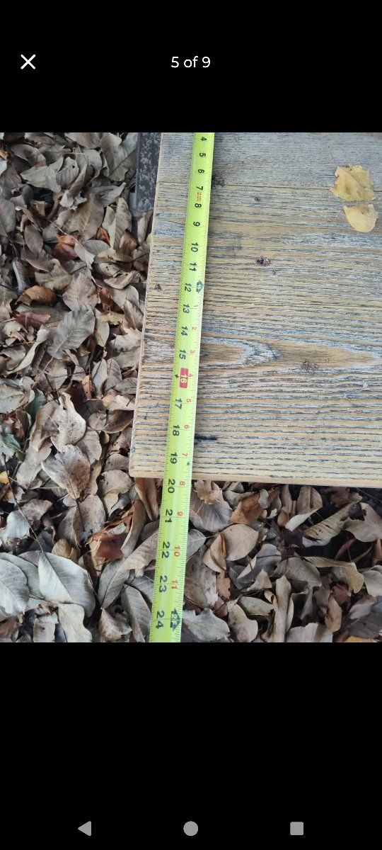 Main image 7