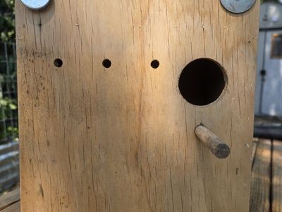 Handmade Wooden Bird Nesting Boxes with Perch and Ventilation Holes